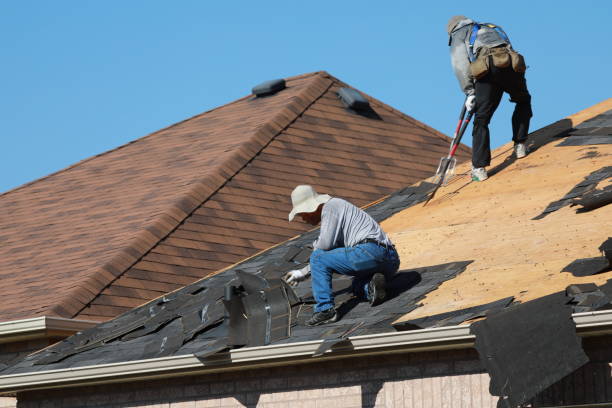 Best Skylight Installation and Repair  in Fort Leonard Wood, MO
